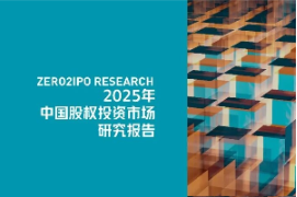 中国一级市场百页PPT复盘